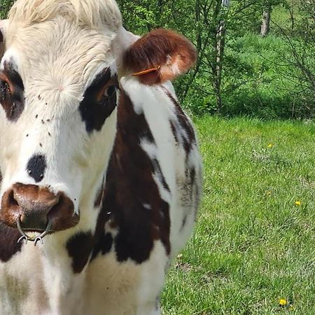 Вилла Roulotte A La Ferme Buissonniere La Lande-de-Louge Экстерьер фото