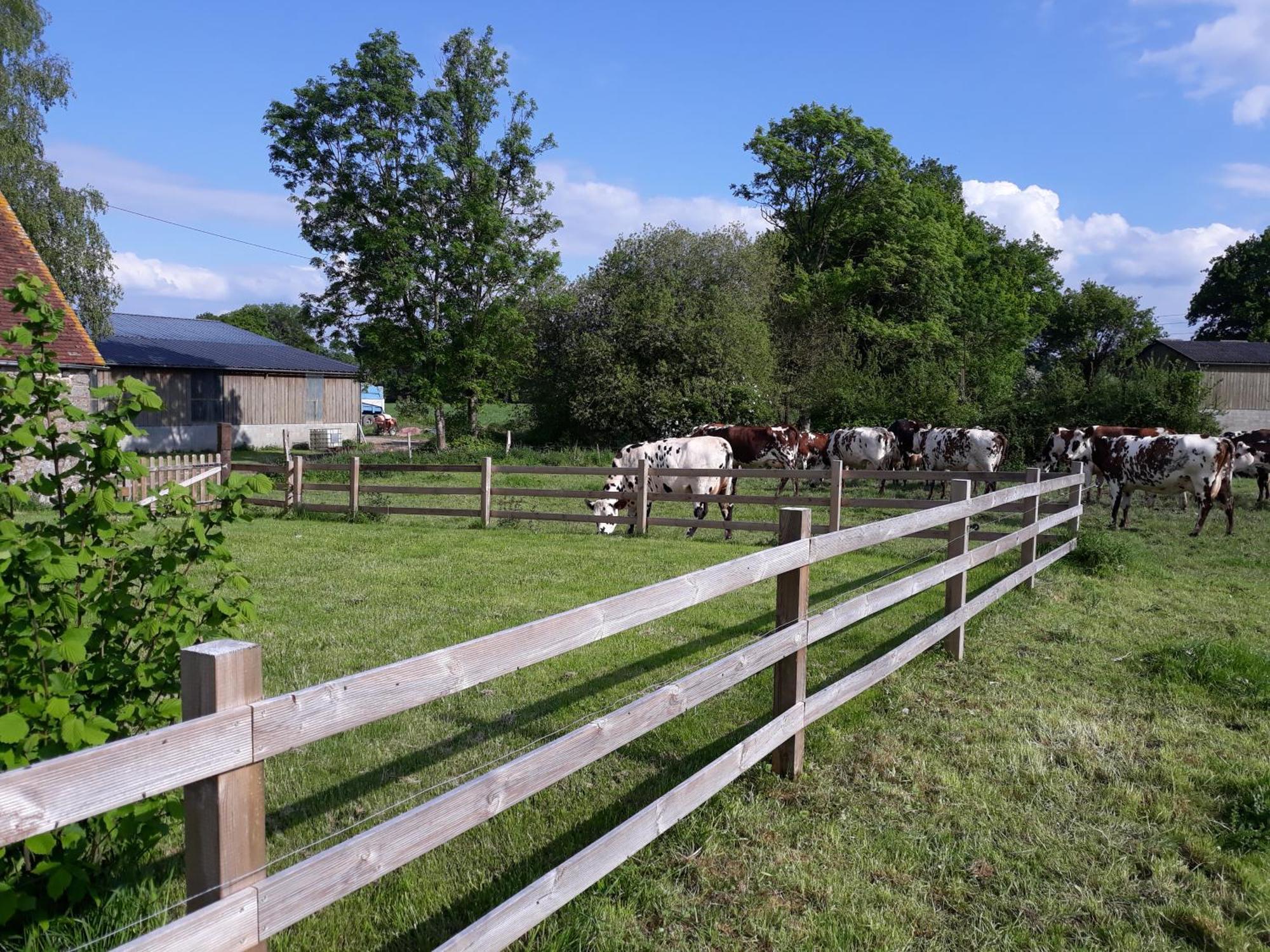 Вилла Roulotte A La Ferme Buissonniere La Lande-de-Louge Экстерьер фото